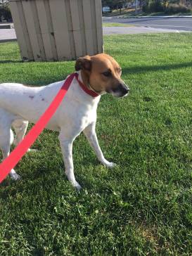 Lucy when I first met her