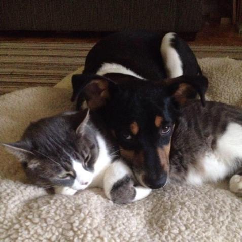 10915161_10152693766832057_289235005574405462_n