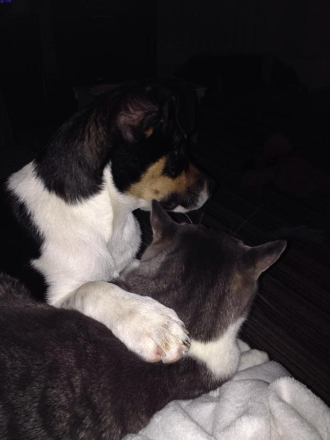 1466044_10152612092537057_4514238945437373952_n