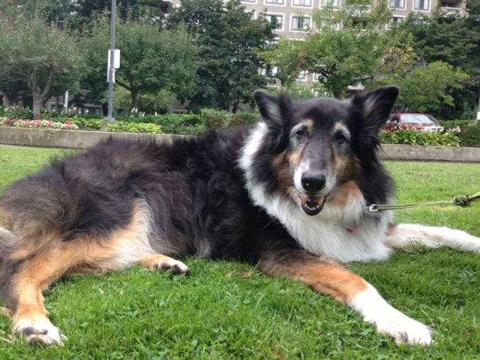 10696448_10152417265707057_1548399824746471531_n