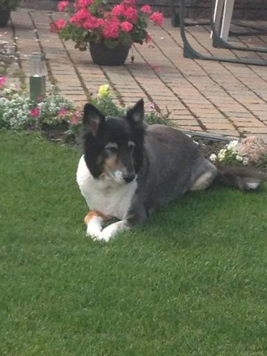 1012115_10151517027727057_1676926107_n