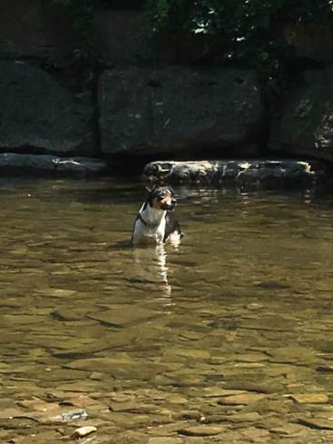 19894566_10154767814922057_69649051916172367_n