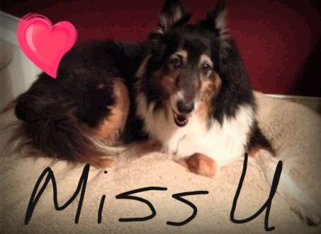 18951321_10154477978116922_7367861375054891753_n