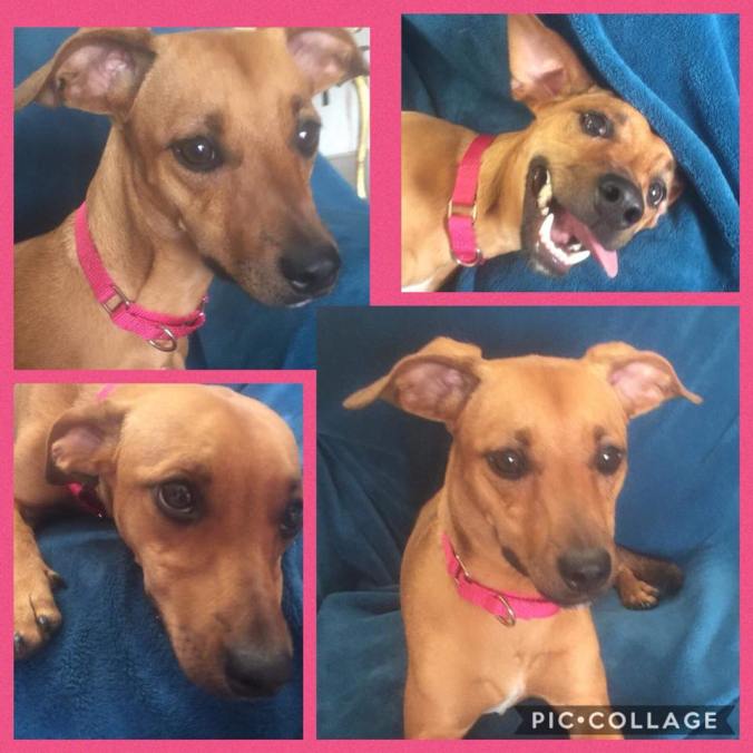 35963766_272102080016600_9187799348182777856_n