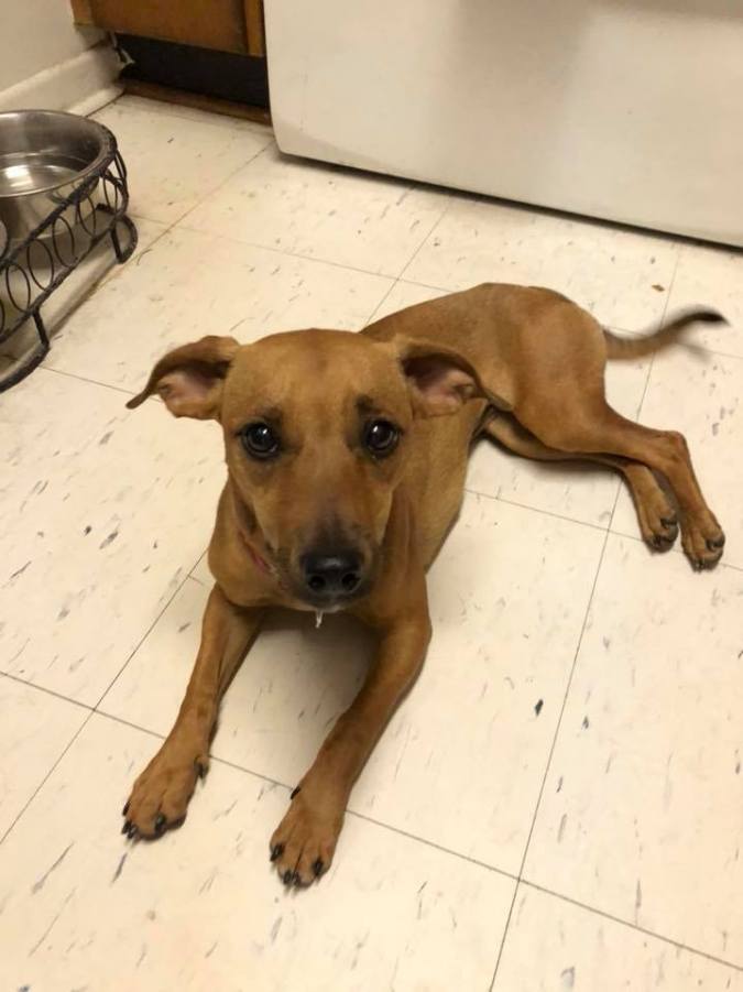 37019324_10155616495597057_8170482115868098560_n