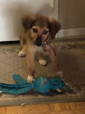 38533767_10155672773092057_723314166714073088_n