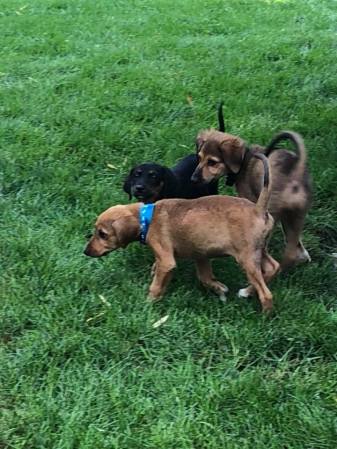 39001824_10155686604602057_3751246825990914048_n