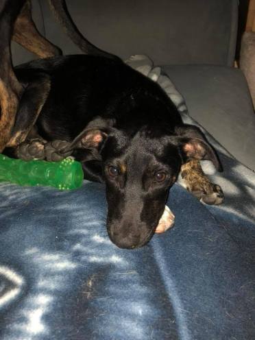 39572581_10155704254327057_3409439524550344704_n