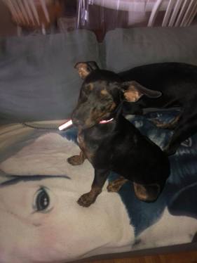 39686684_10155704248862057_7983949985395769344_n