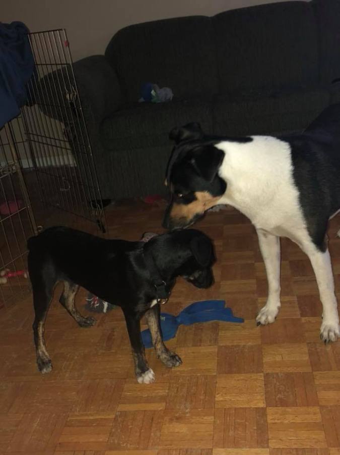 40330499_10155720370147057_2039776734483578880_n