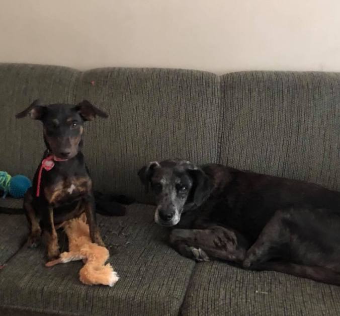 40452049_10155721466042057_6030162310109069312_n