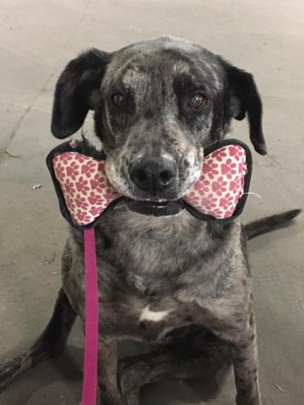 29791465_10155417723262057_3712820704956034809_n