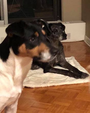 43877909_10155814107272057_3182135707623751680_n