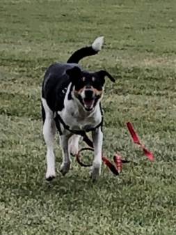 56537843168__9c5aab9a-6735-48f2-bf07-9b8f2bca5cb1