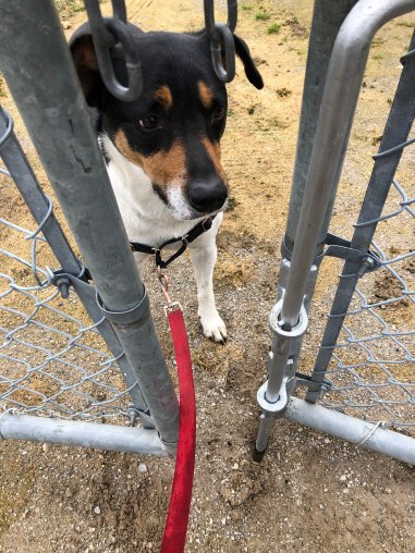 56537855518__76e6526a-f420-400e-aabf-80791d106a3a