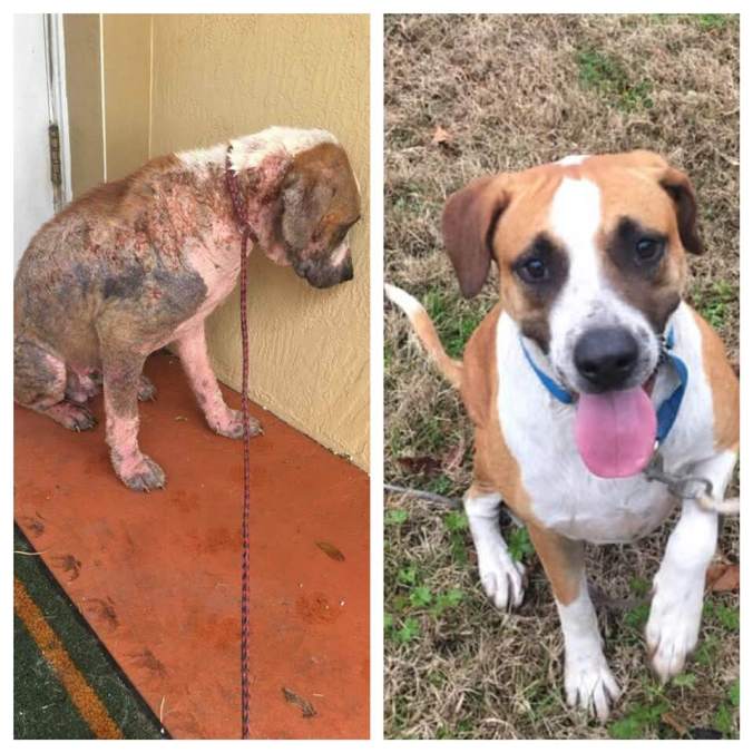 50124905_10155996117997057_3320787044464066560_n