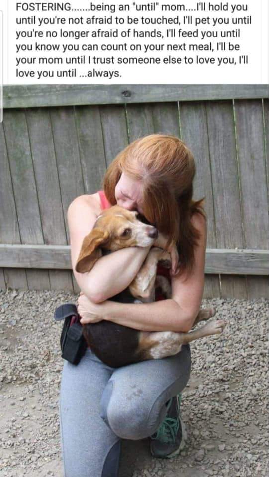 51674542_2172511389665692_8086183216496508928_n