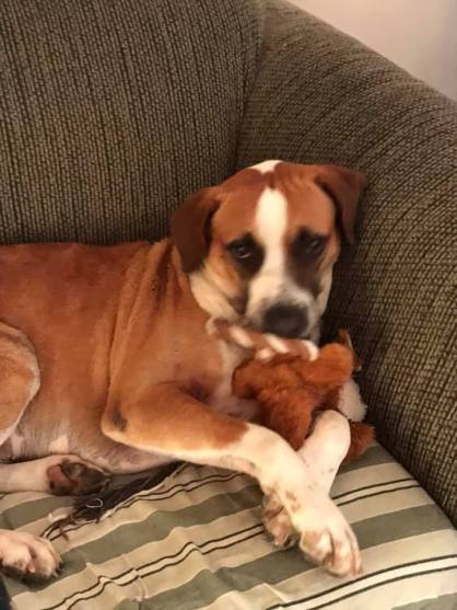 53077608_10156082821207057_7906902743166484480_n