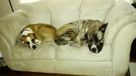 20190515_190004_Film2