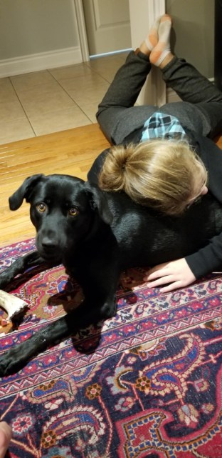 Resized_20181018_214012_6952