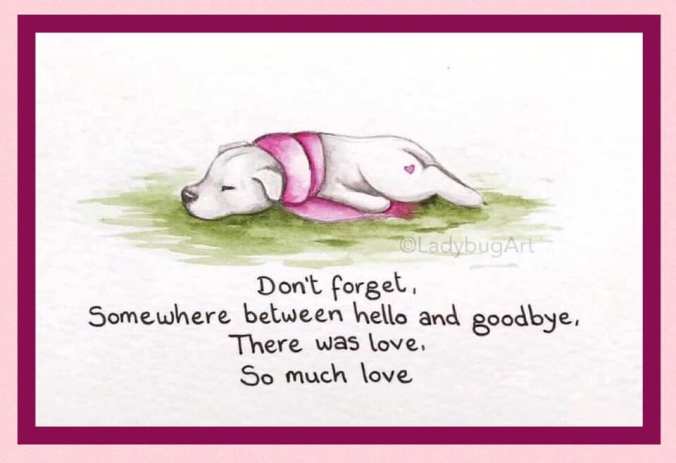 69026746_1986447611454966_5830479440747954176_n