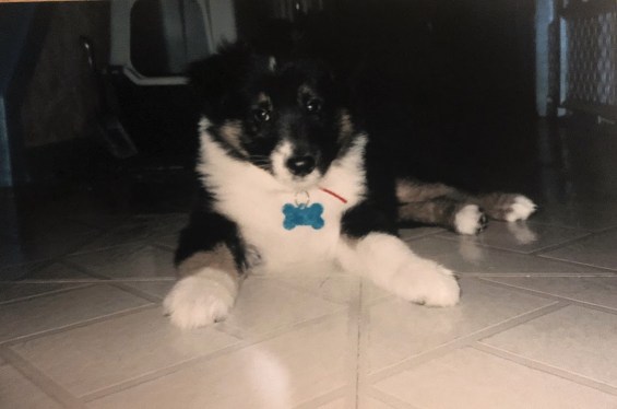 Photo569547684612_inner_21-289-727-262-9-770-738-734