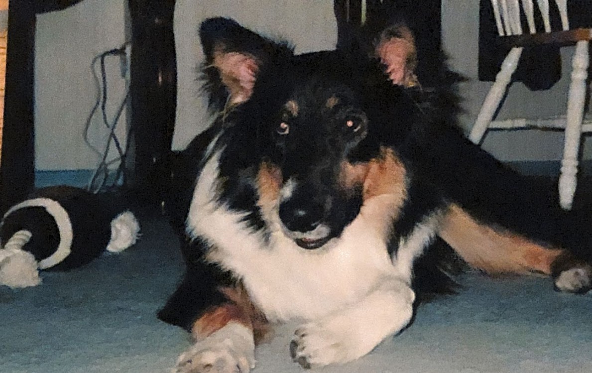 Photo569552411099_inner_220-43-530-51-208-246-530-246